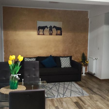 布加勒斯特Apartament Lenus'K公寓 外观 照片