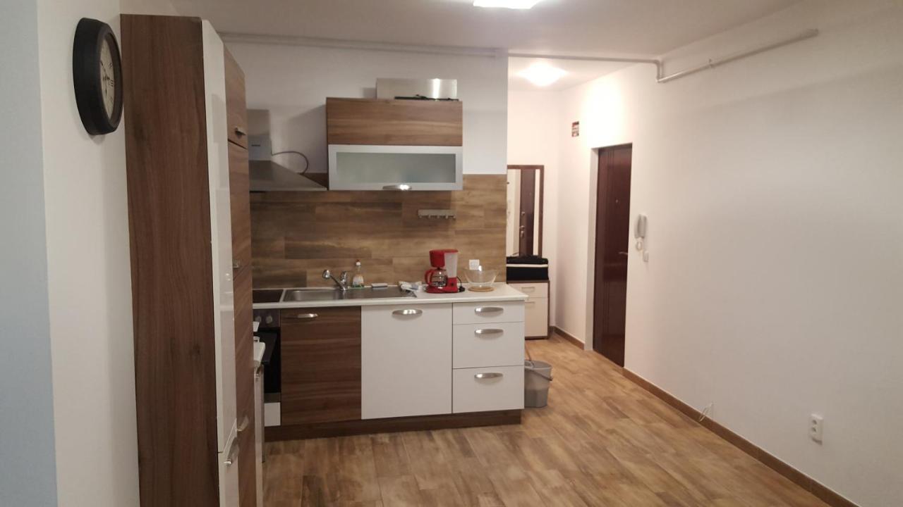 布加勒斯特Apartament Lenus'K公寓 外观 照片