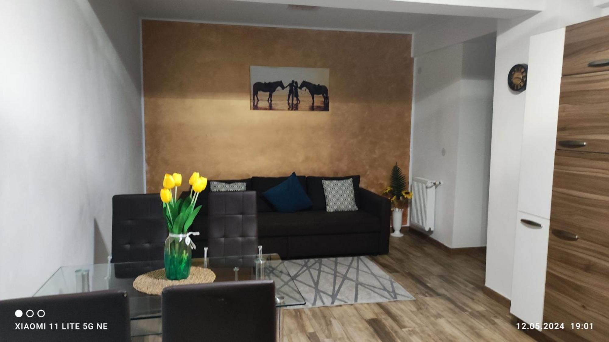 布加勒斯特Apartament Lenus'K公寓 外观 照片