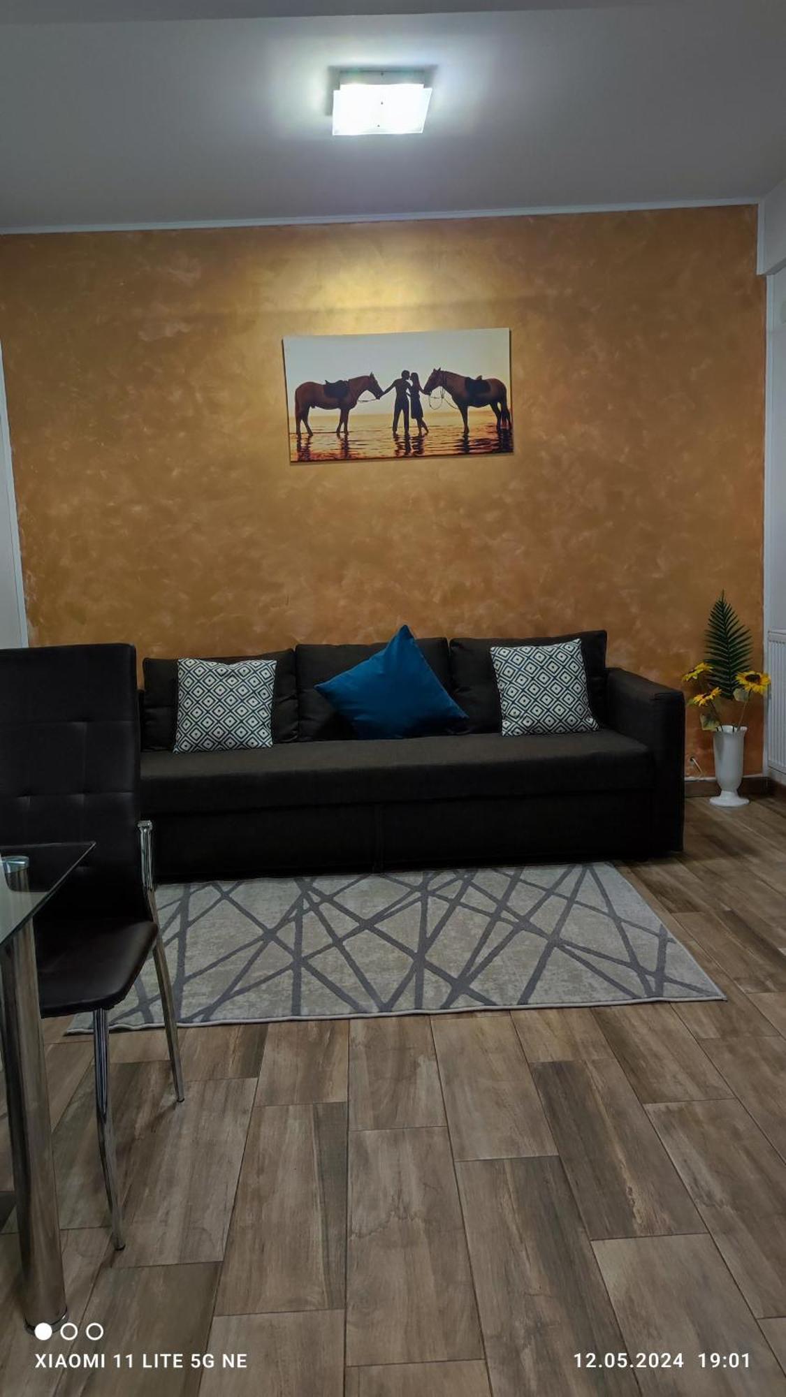 布加勒斯特Apartament Lenus'K公寓 外观 照片