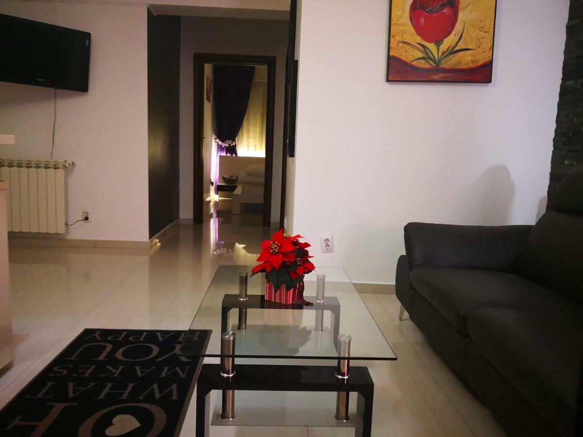 布加勒斯特Apartament Lenus'K公寓 外观 照片