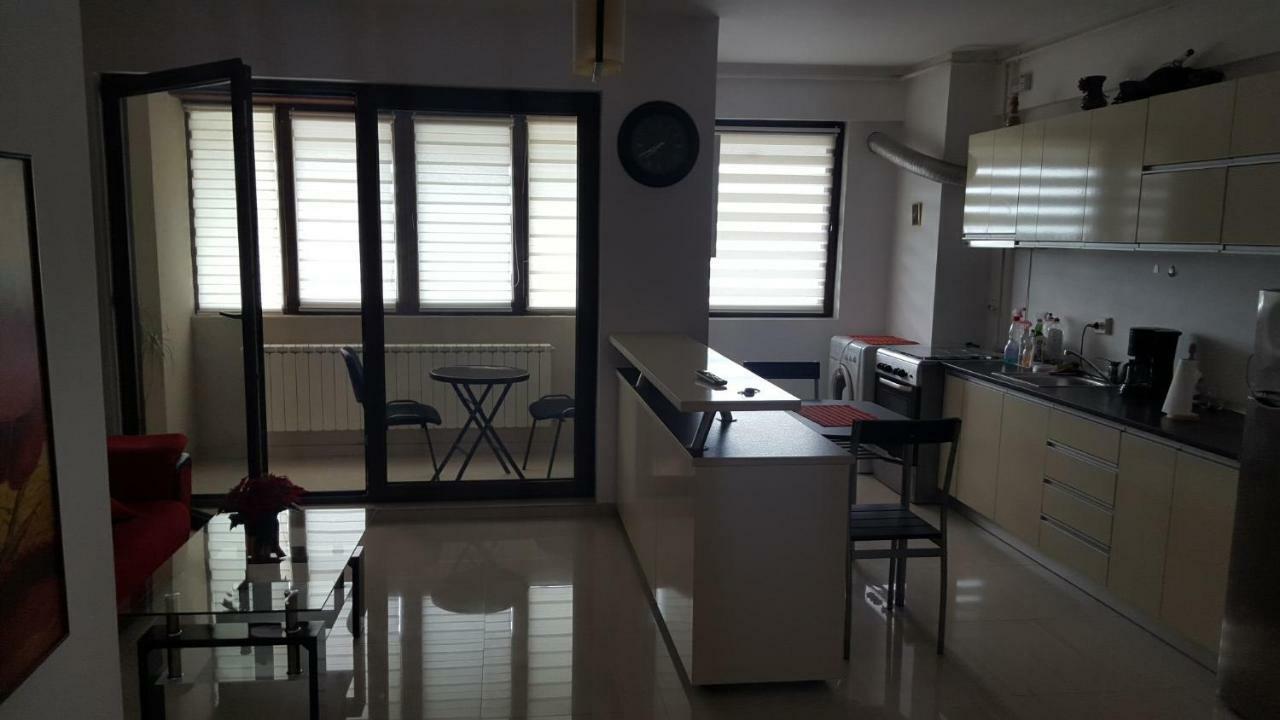布加勒斯特Apartament Lenus'K公寓 外观 照片